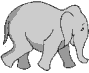 An Elephant In the Room.